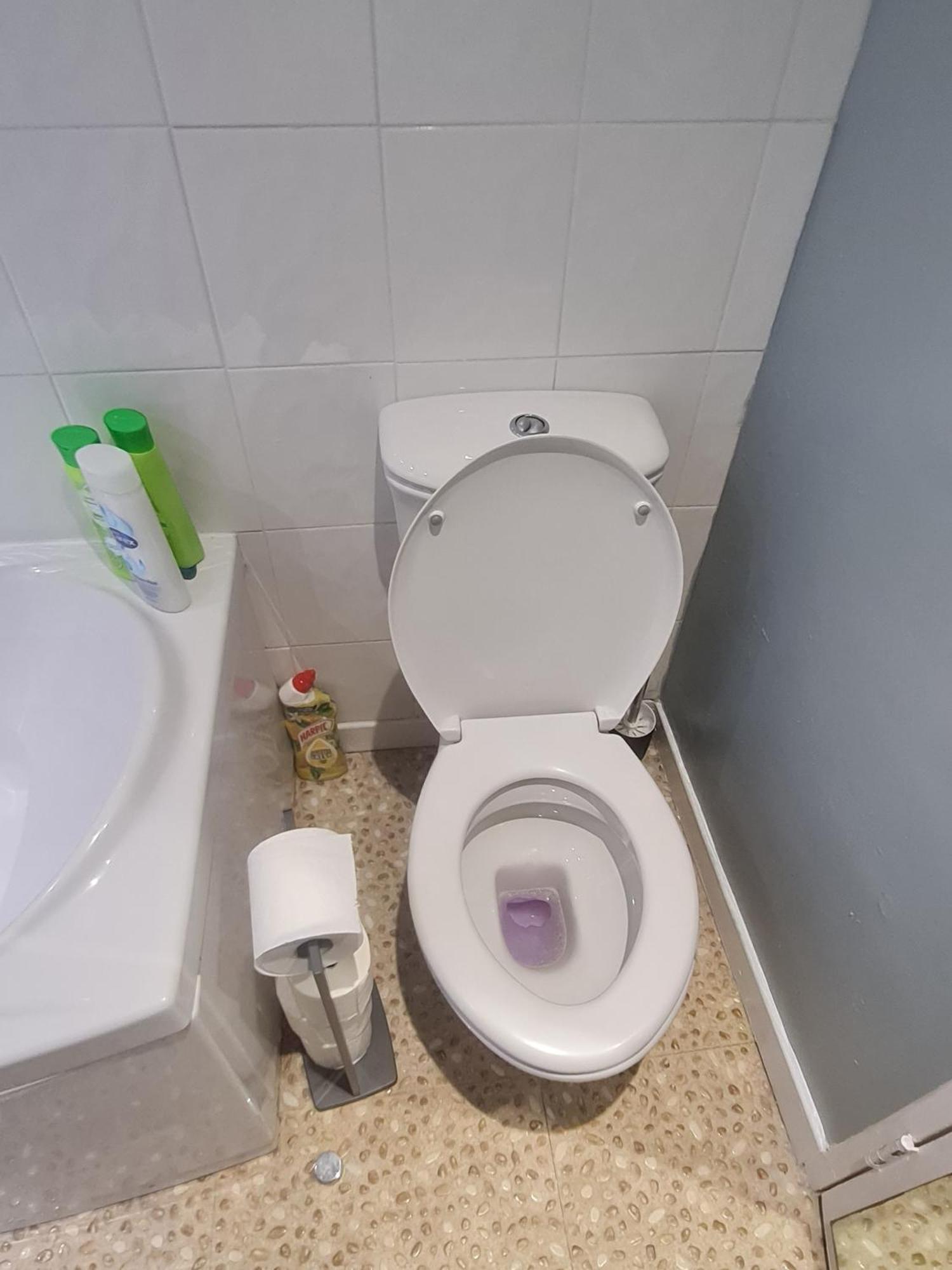 Westfield Apartments Near Murrayfield Stadium Edinburgh Ngoại thất bức ảnh